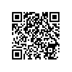 1111Y2K02P10BQT QRCode