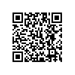 1111Y2K02P40DQT QRCode