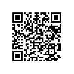 1111Y2K02P70DQT QRCode