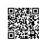 1111Y2K06P20HQT QRCode