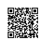 1111Y2K0P300DQT QRCode