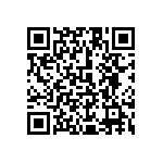 1111Y3000101KQT QRCode