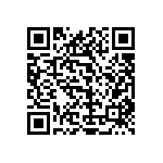 1111Y3000160JQT QRCode