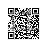 1111Y3000331KQT QRCode