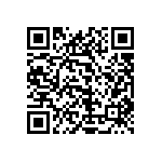 1111Y3003P60DQT QRCode