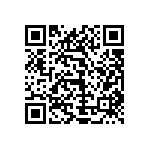 1111Y300P400BQT QRCode