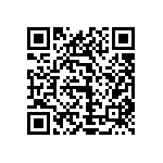 1111Y300P800DQT QRCode