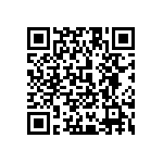 1111Y5001P60BQT QRCode