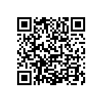 1111Y5003P30DQT QRCode