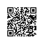 1111Y6306P20DQT QRCode