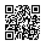 113E QRCode