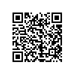 1206J2004P00DQT QRCode