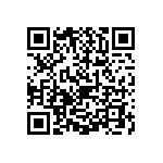 1206J3001P60HQT QRCode