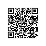 1206Y0502P40DQT QRCode