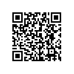 1206Y2000110KQT QRCode