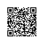 1206Y2K00271KXT QRCode