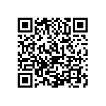 1206Y2K01P30BQT QRCode