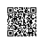 121-13-304-41-001000 QRCode