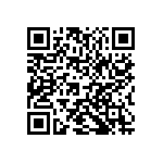 1210J0250273MXR QRCode