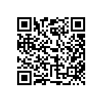 122-13-304-41-001000 QRCode