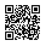 12TQ040_231 QRCode