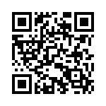 12TS95-4 QRCode