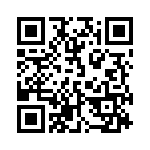 13-38 QRCode