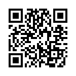 13-38S-NB QRCode