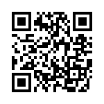 13008-041KESB QRCode