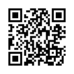 130090 QRCode