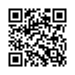 130207 QRCode