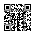 1313746-1 QRCode