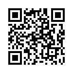 131432 QRCode