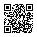 13162160 QRCode