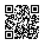 1318091741 QRCode