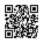 131C11039X QRCode