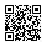 132117 QRCode