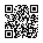 132134RP QRCode