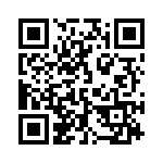 132163 QRCode