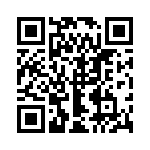 132168SS QRCode