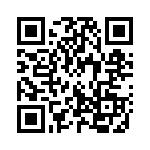 132170RP QRCode