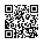 132194 QRCode