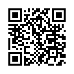 132195RP QRCode