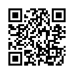 132217 QRCode