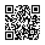 132289RP QRCode