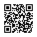 1323XDSK-BDM QRCode