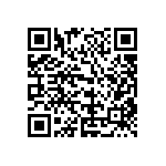 133-PGM13067-10H QRCode