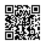 13AT418-T2 QRCode