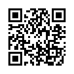 13AT96-T QRCode