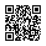 13E QRCode